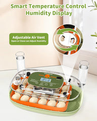 Sindarhor transparent dome revealing eggs and live view benefit observational learning