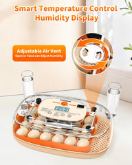 Sindarhor universal egg tray filled with mixed eggs showing secure multi-size support