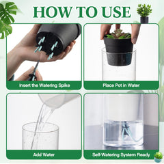 Singhoow spike installed in a planter demonstrating hands-free hydration benefit