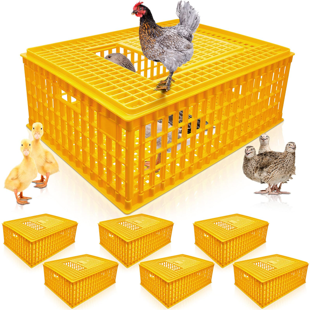 Sintuff front view showing two crates and sturdy ventilated sides for safe transport