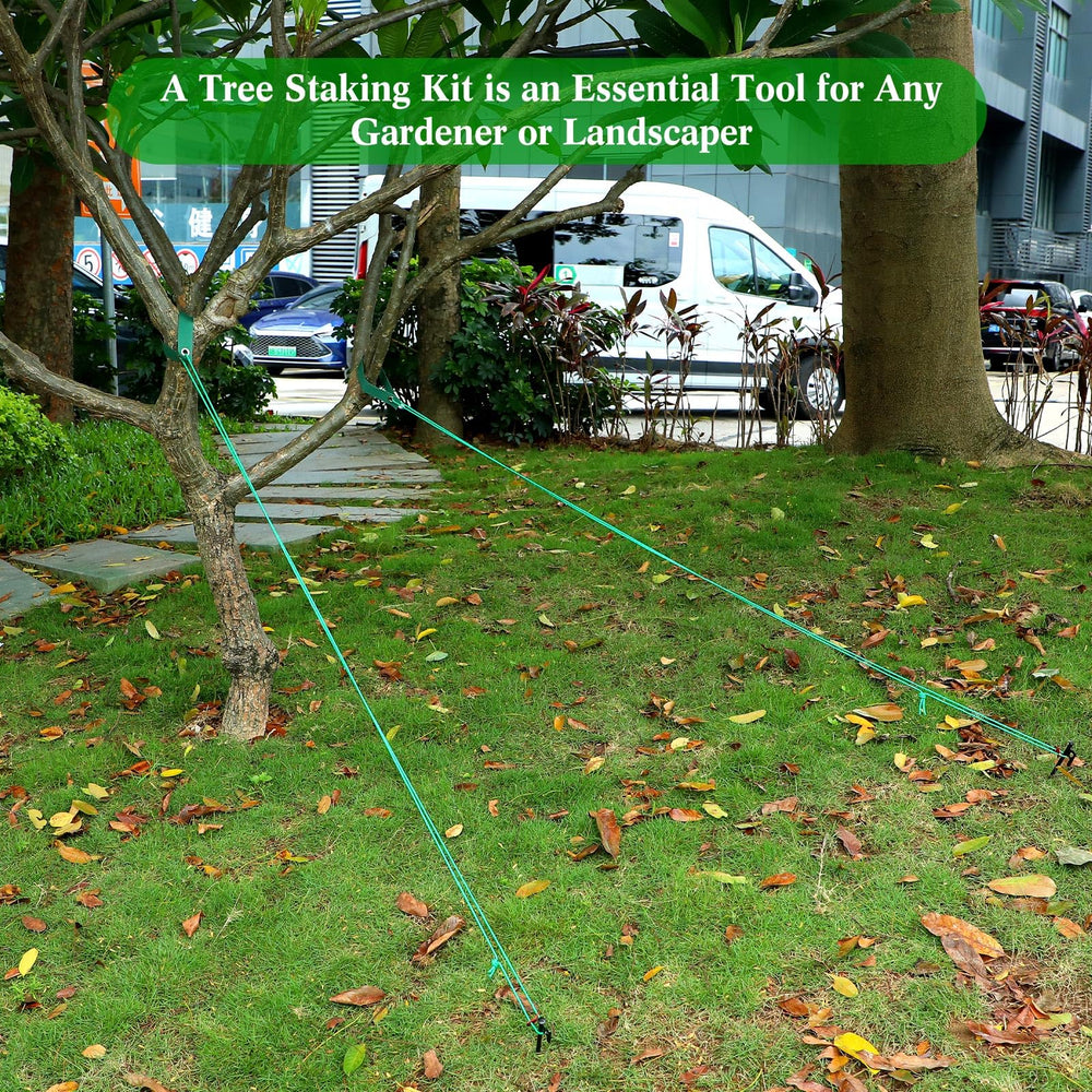 Sintuff kit installed on a young tree in garden stabilizing trunk against wind