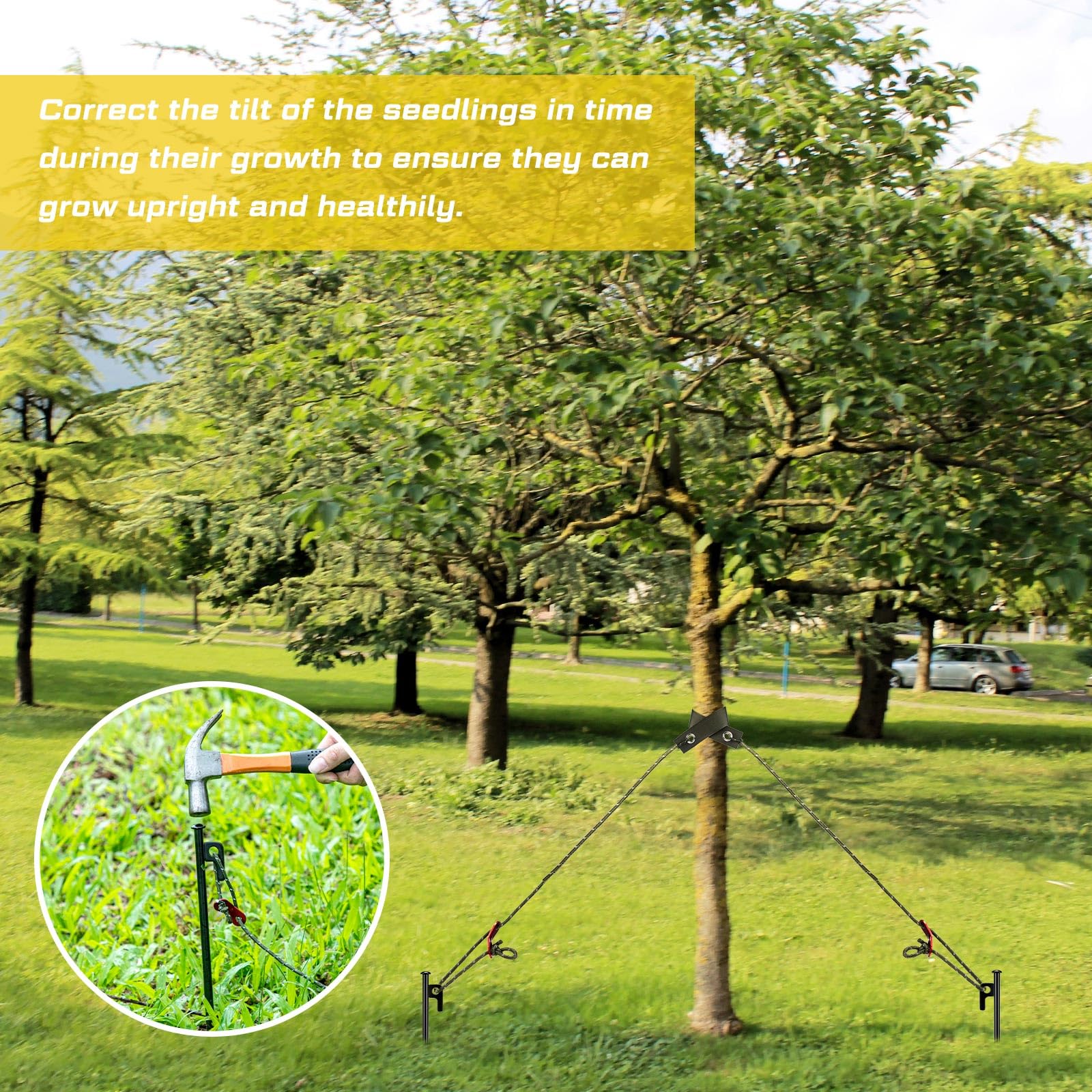 Sintuff installed supporting a young tree demonstrating upright correction and root protection
