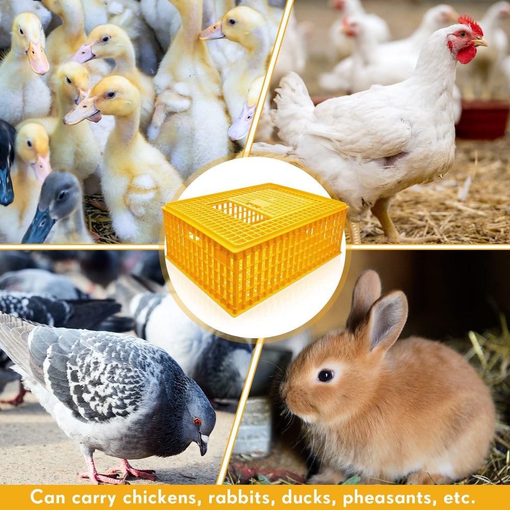 Sintuff stacked crates demonstrating space-saving, stable stacking advantage