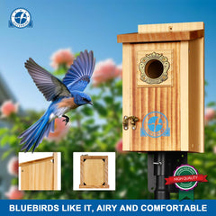 SISTERBIRD entrance hole detail highlights correct 1-1/2 inch size to attract bluebirds
