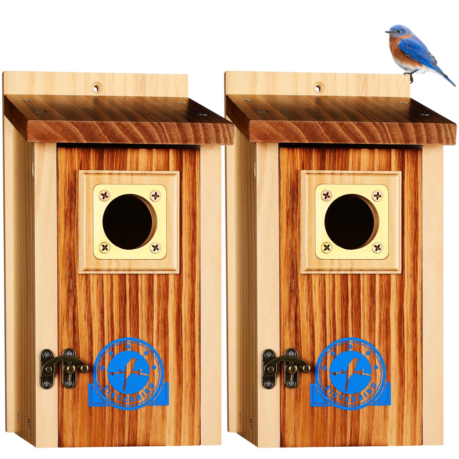 SISTERBIRD front view showing classic design and curb appeal for backyard nesting