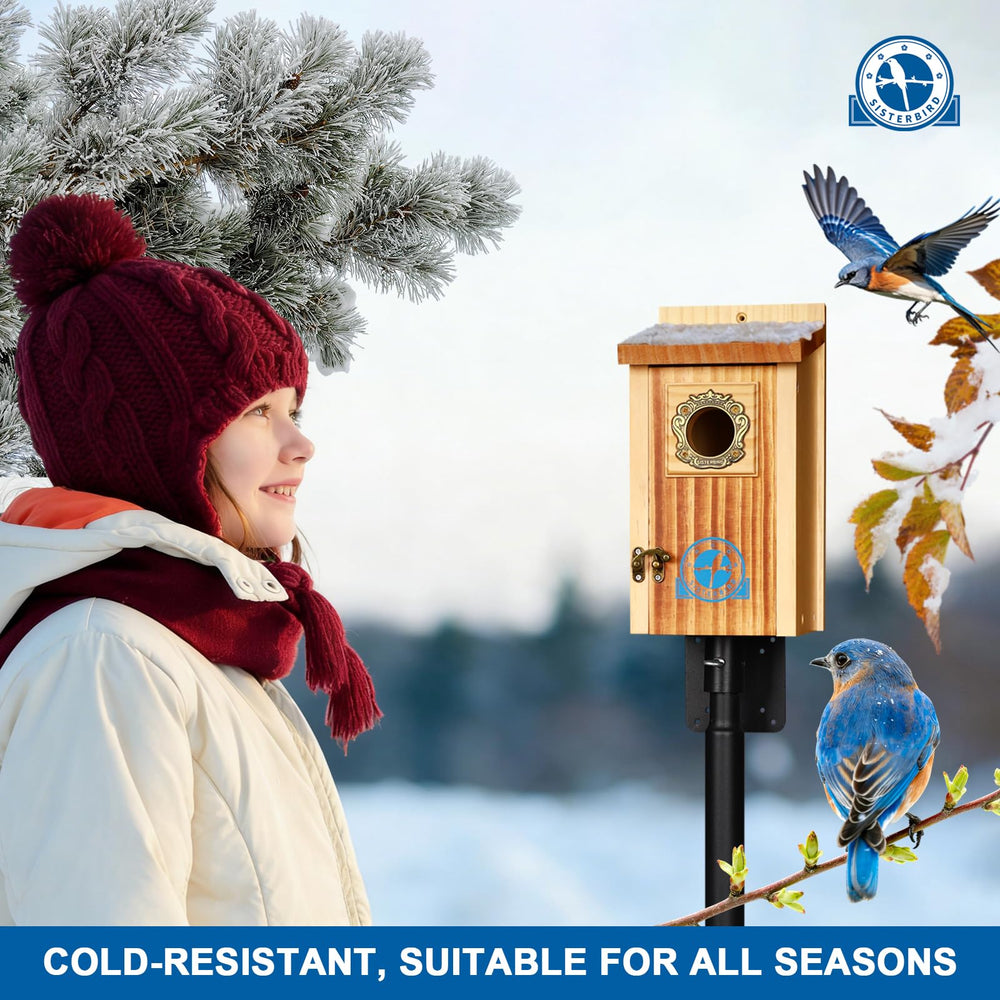 SISTERBIRD in use with a bluebird demonstrating attractive nesting habitat benefit
