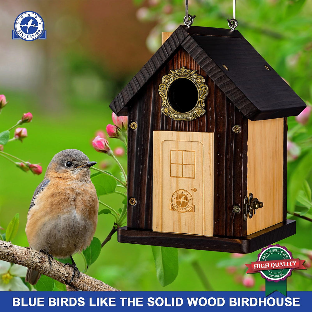 SISTERBIRD close-up of wood grain highlighting solid wood quality and weatherproof finish
