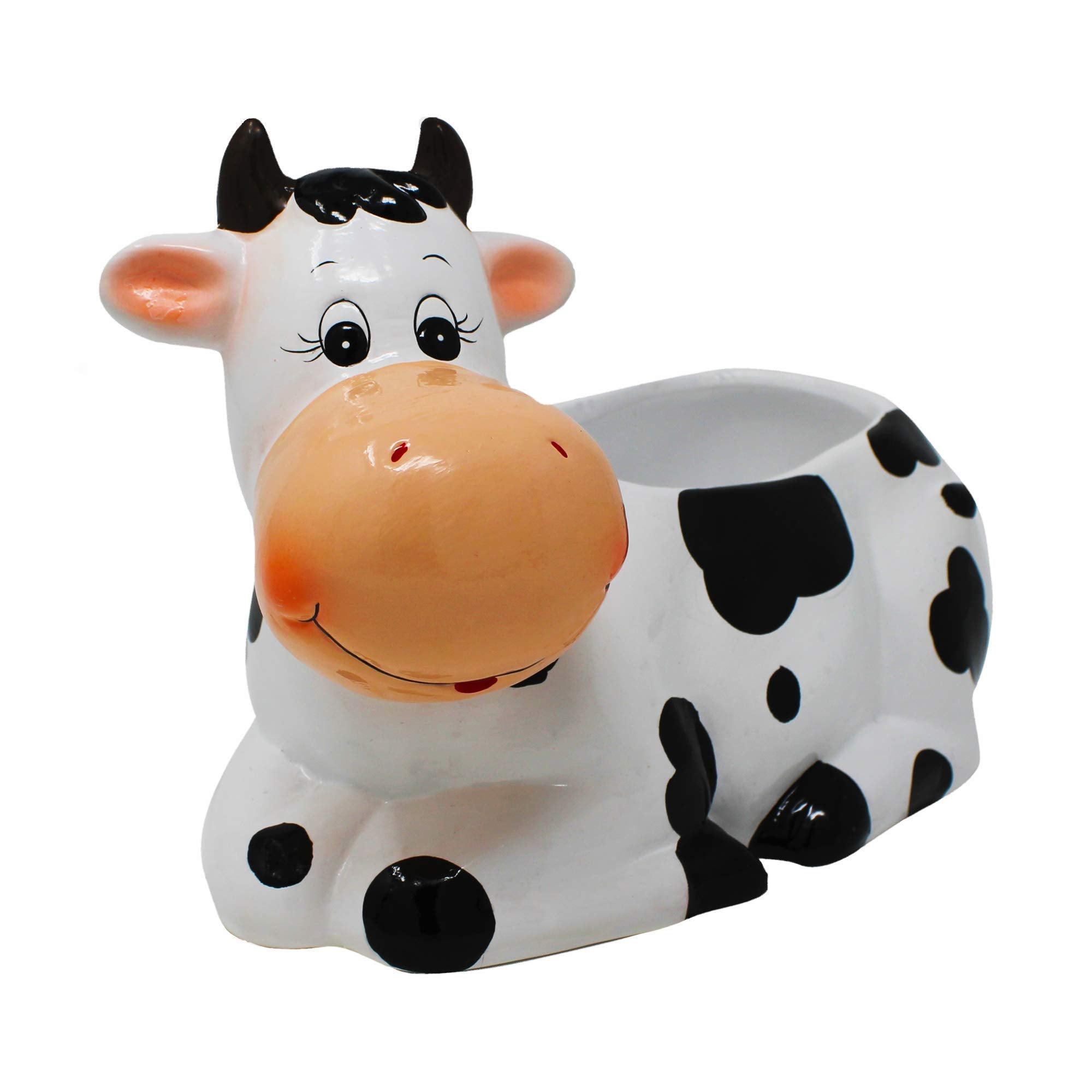 Sixdrop cow planter top view filled with succulent demonstrating planting idea