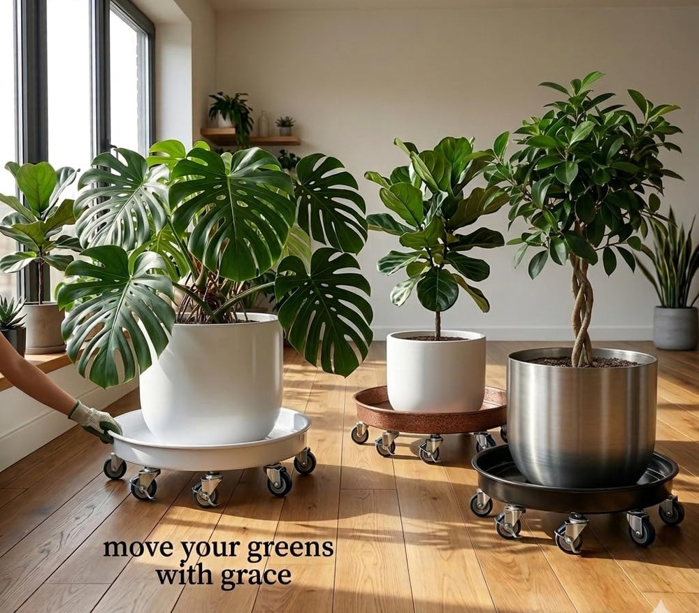 SKAFORZ assembled lifestyle indoor balcony view helping reposition plants easily