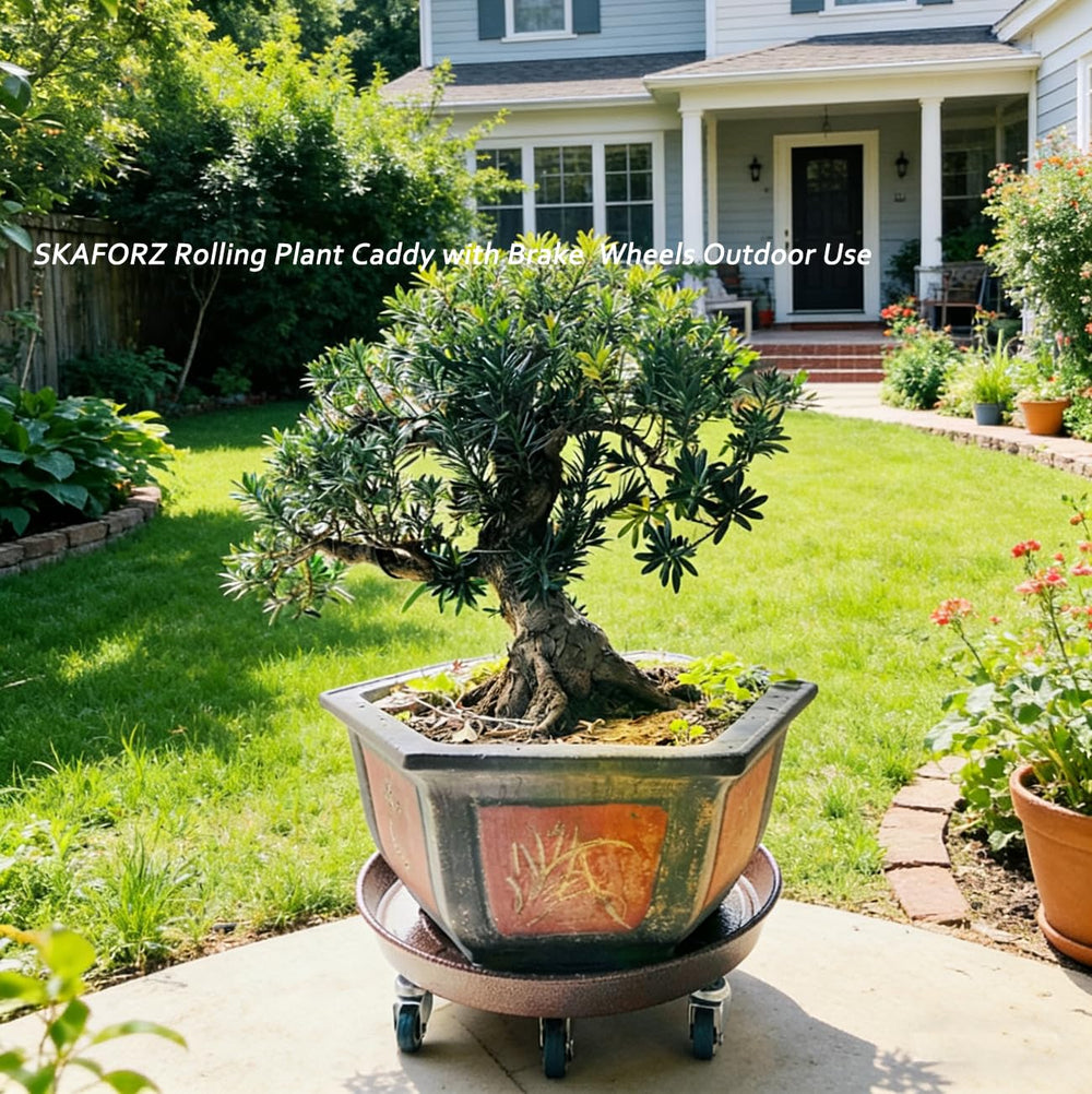 SKAFORZ weather-resistant finish sheen protecting against sun and moisture