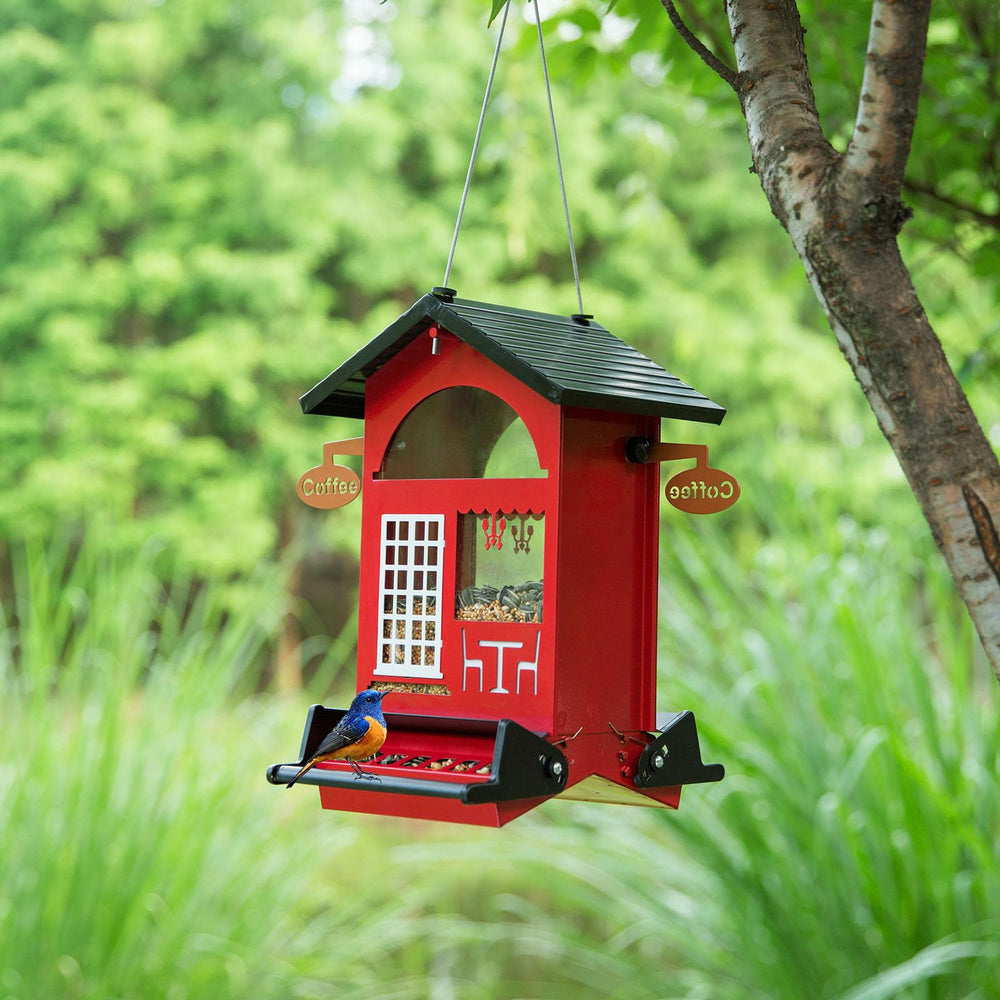 skaithee feeder hanging in a backyard patio setting demonstrating easy installation and pleasing decor