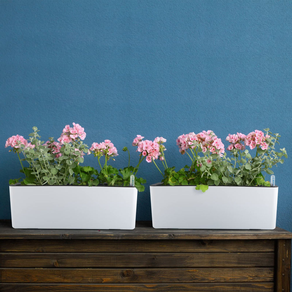 Skelang two planters styled together for coordinated indoor garden appeal
