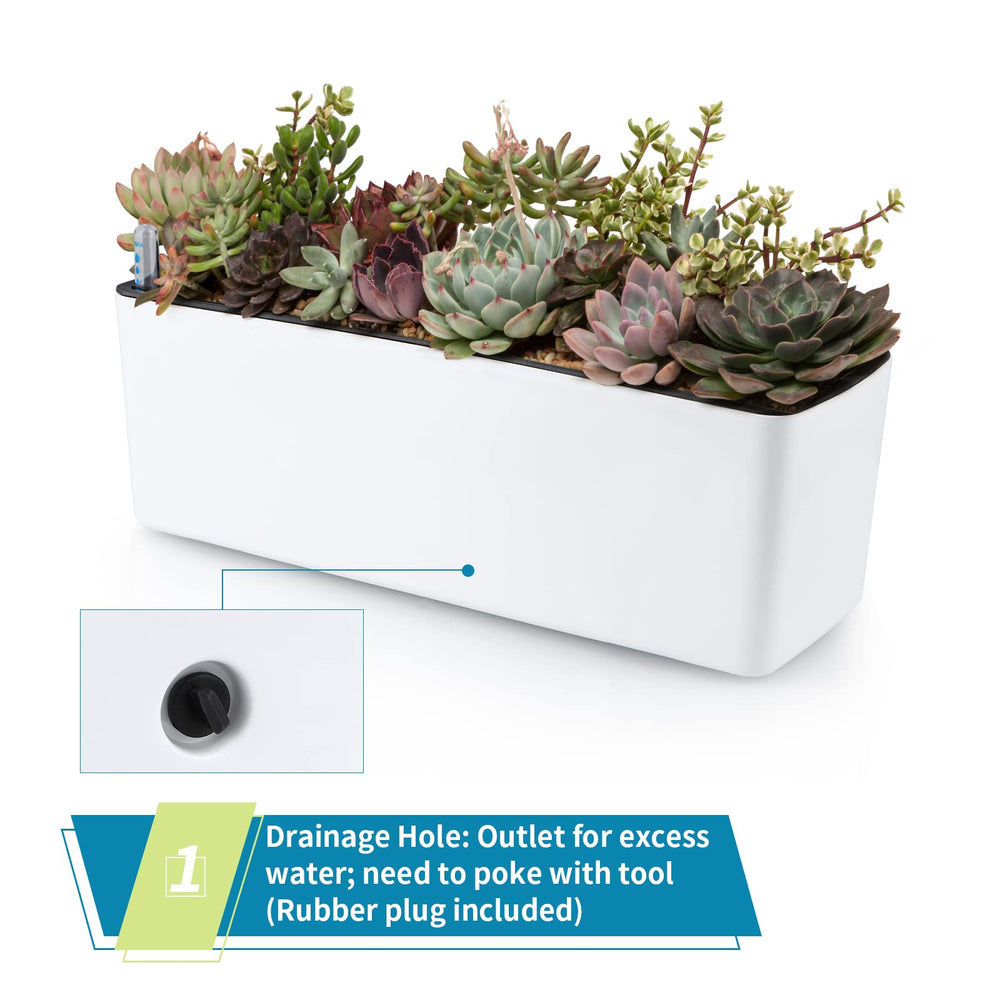 Skelang planter on windowsill with herbs providing space-saving greenery