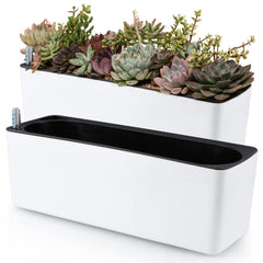 Skelang front view of rectangular planter showing clean lines and compact fit