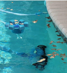 SkimmerMotion operating in pool capturing leaves for clearer water