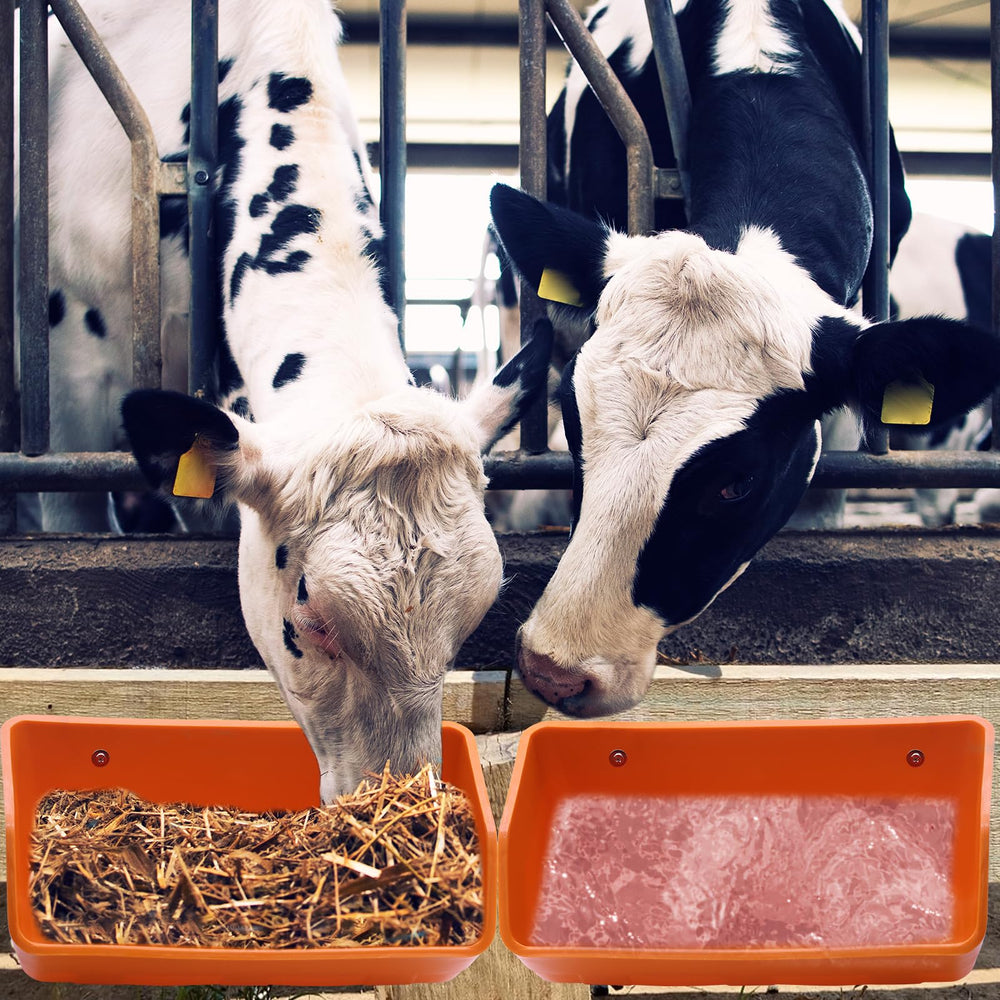 SKWIRRLE feeder next to measuring cup showing size and portioning benefit