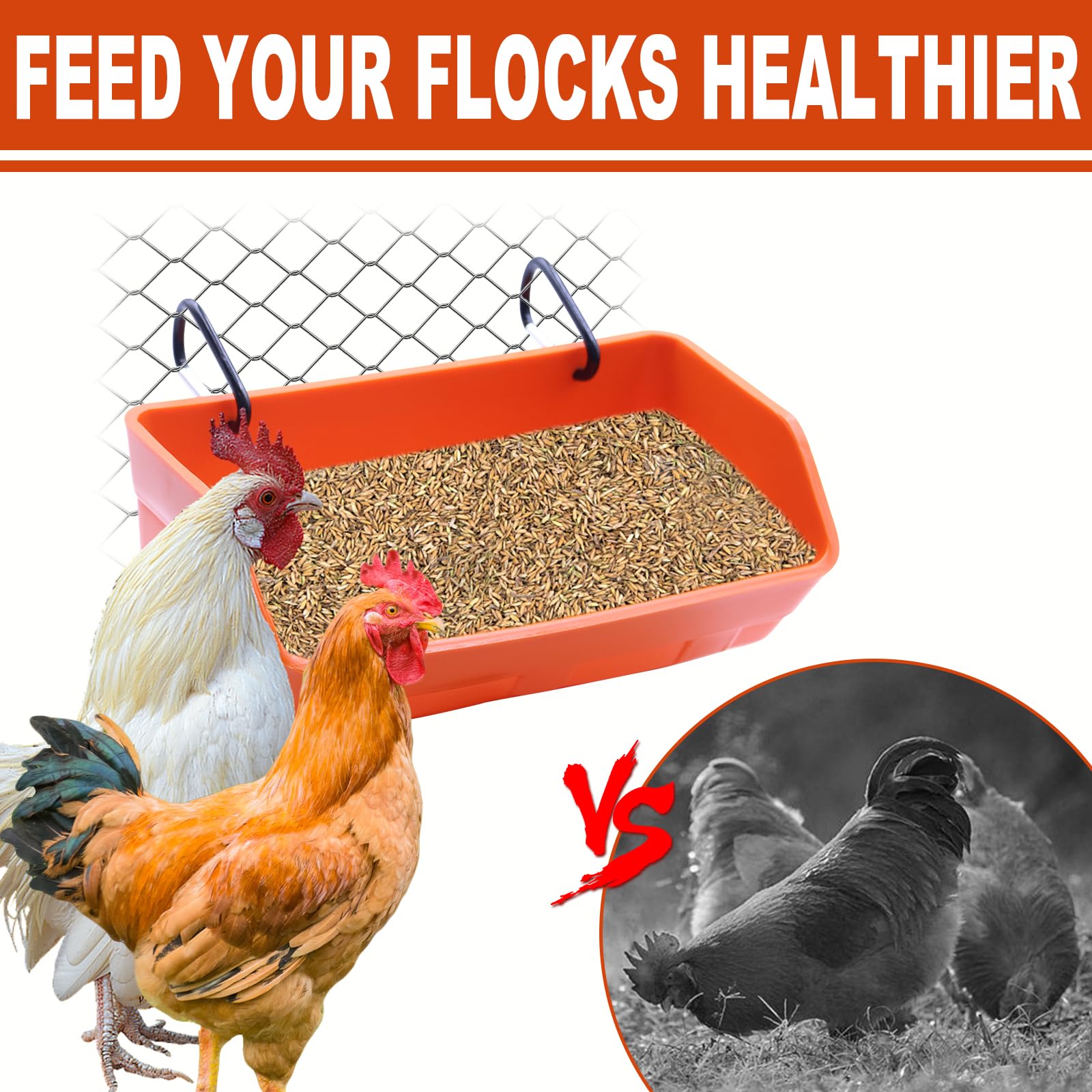 SKWIRRLE feeder hung in coop showing tidy, low-waste feeding area