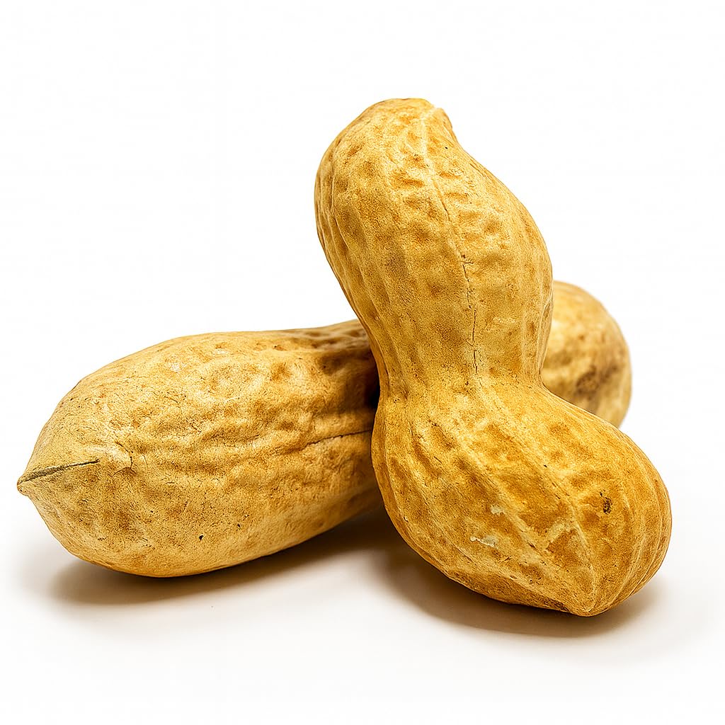 Sky Ecommerce peanuts spilled from bag showing whole-in-shell form for easier feeding