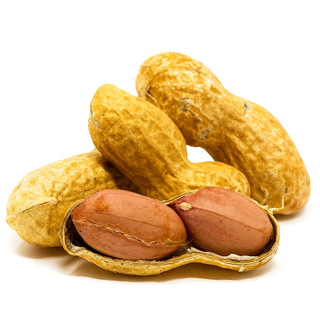 Sky Ecommerce close-up of peanut shell texture highlighting freshness and quality