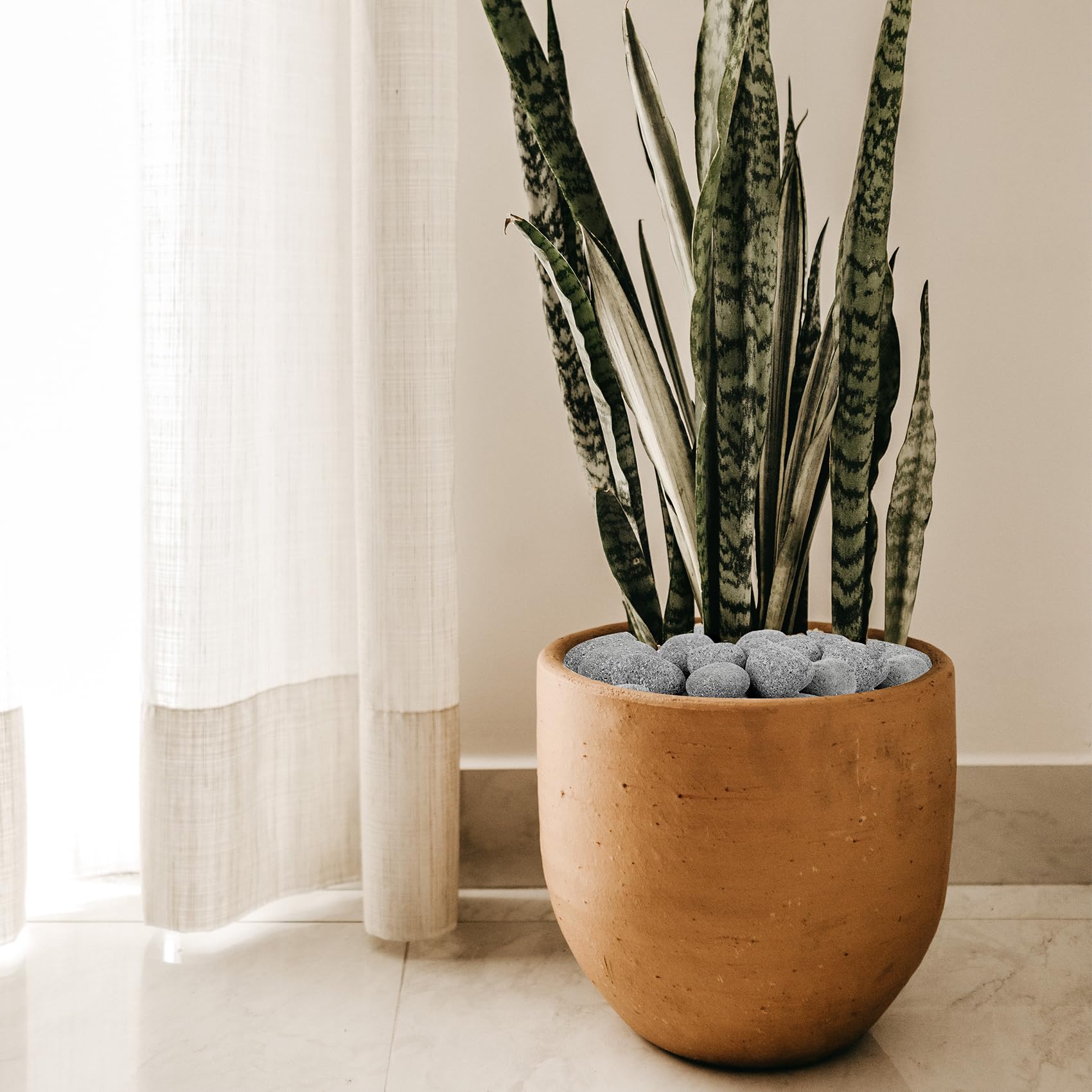 Skyflame lava rock topping planter to retain moisture and add texture