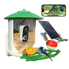 SkyPix front view of feeder showing camera and attractant, improves backyard sightings