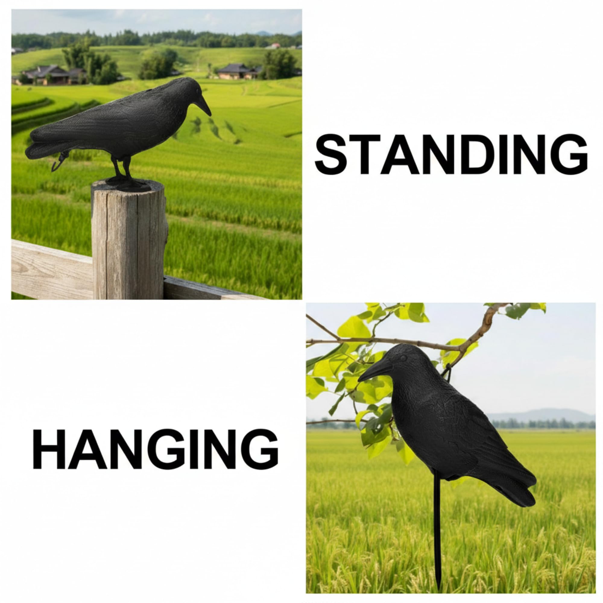 Sliner crow perched on fence post indicating easy display versatility