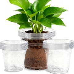 SLMKHHU front view of clear nursery pots showing tidy pack and label benefit