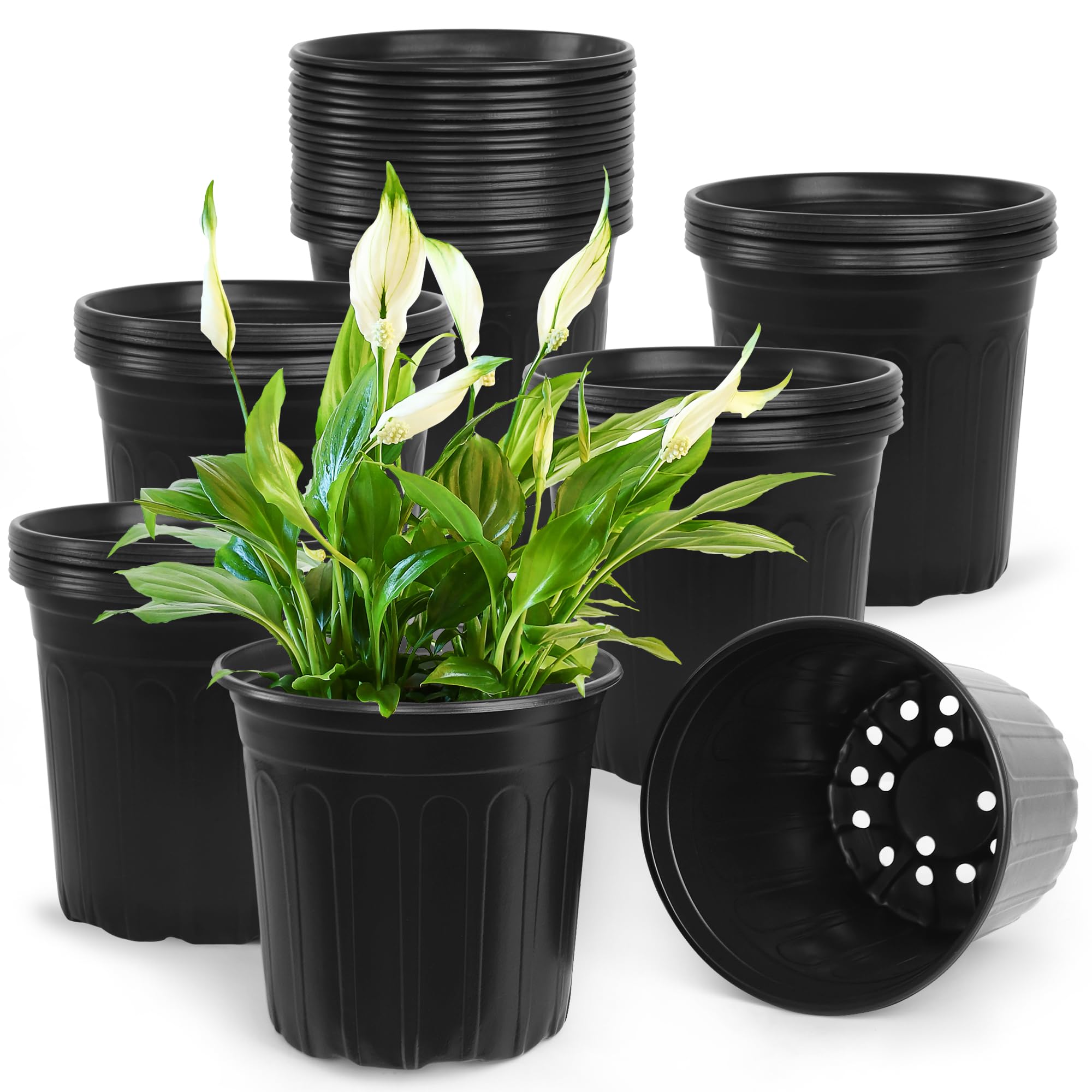 SLMKHHU front view of 2-gallon pot showing sturdy build and room for roots