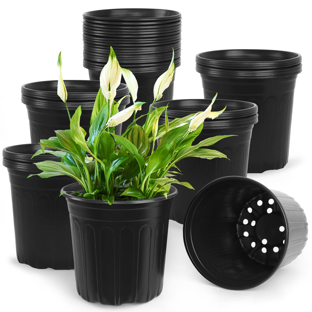 SLMKHHU front view of 2-gallon pot showing sturdy build and room for roots