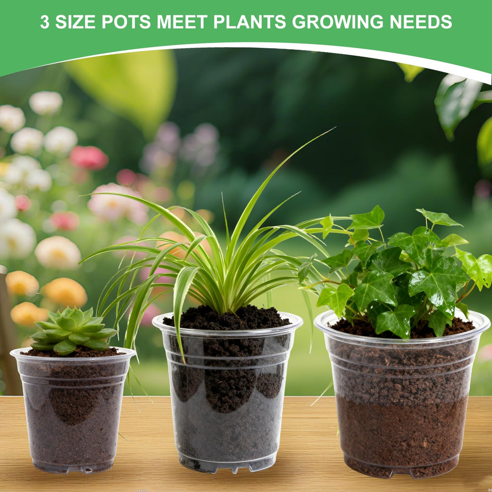 SLMKHHU pots on greenhouse bench supporting seedlings and organized workflow