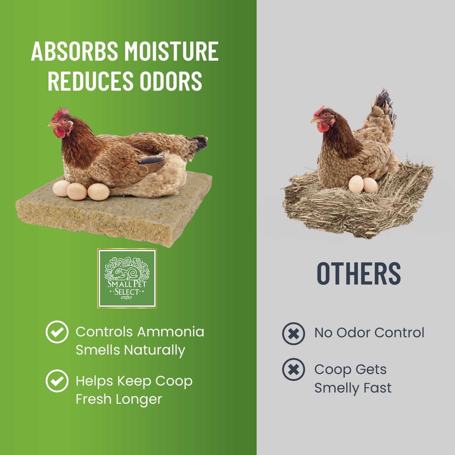 Small Pet Select pad with clean eggs illustrating easier, neater egg collection