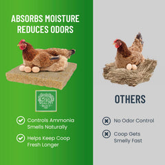 Small Pet Select pad with clean eggs illustrating easier, neater egg collection