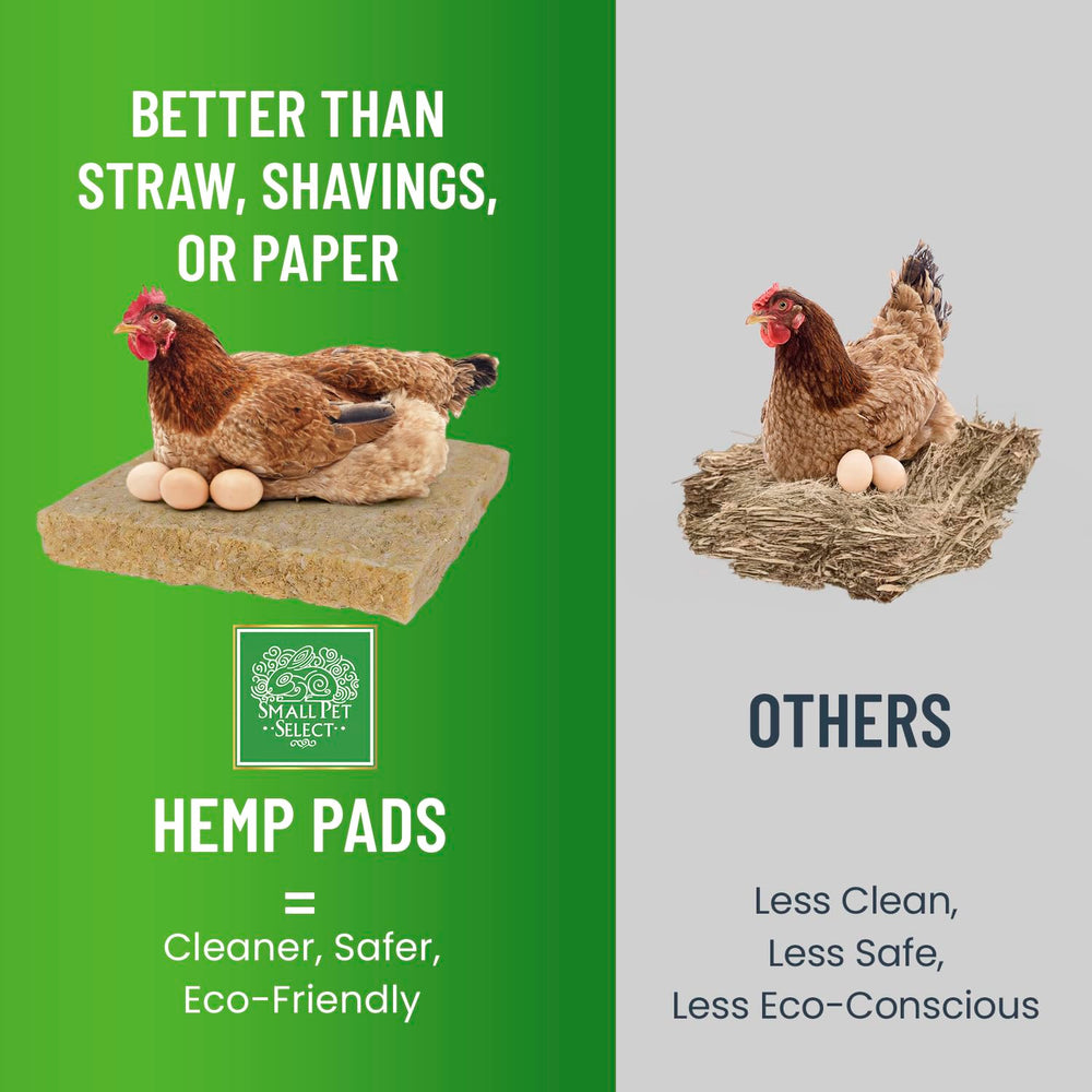Small Pet Select pad in backyard coop lifestyle setting emphasizing low-maintenance