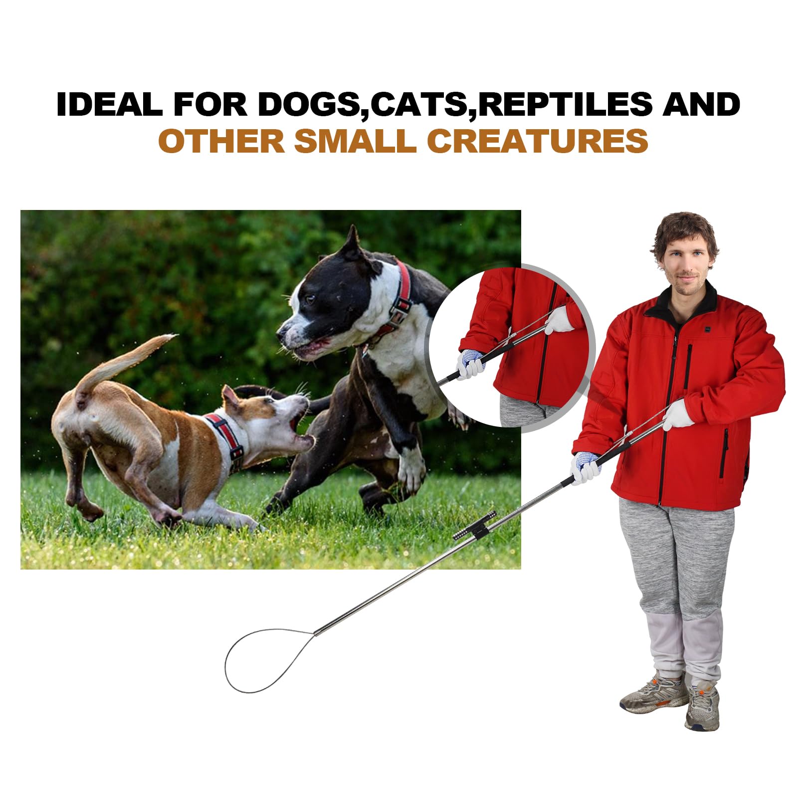 Smarkey pole in use approaching a dog illustrating safe distance and humane containment