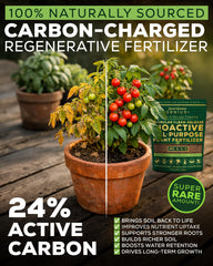 Smart Grower being sprinkled into a raised vegetable bed for steady feeding
