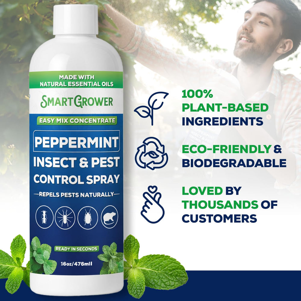 Smart Grower applied in a garage showing reduced pest access and protective benefit