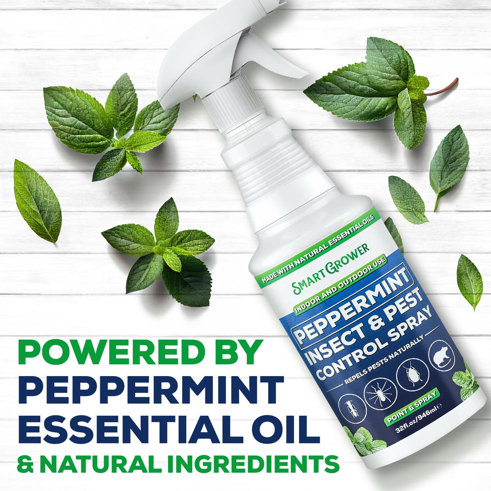 Smart Grower spray in use indoors applying peppermint barrier for pest deterrent