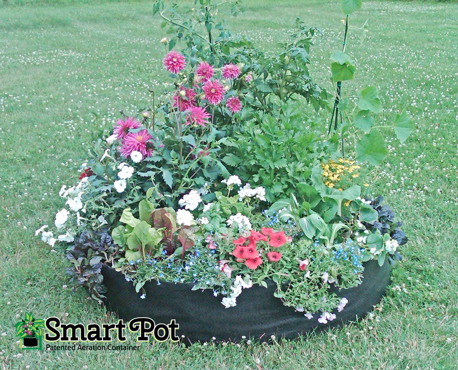 SMART POT fabric close-up highlighting breathable texture for better root aeration and drainage