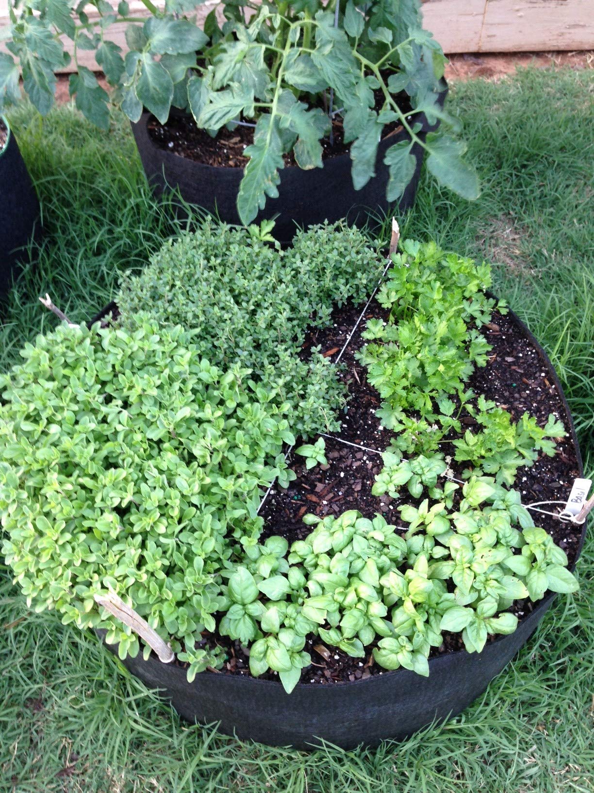 SMART POT scale comparison with gardener hands to show size and easy-access planting benefit