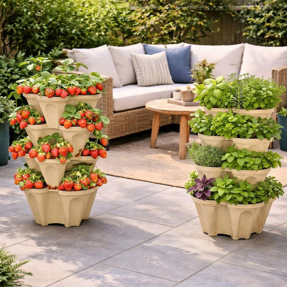 smart spring planter in use with strawberries demonstrating higher yield potential