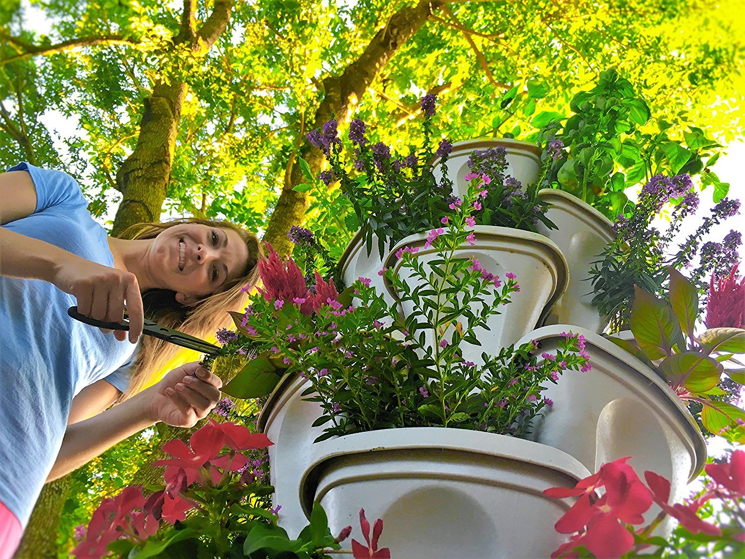 smart spring lifestyle balcony garden setup showing productive urban gardening benefit