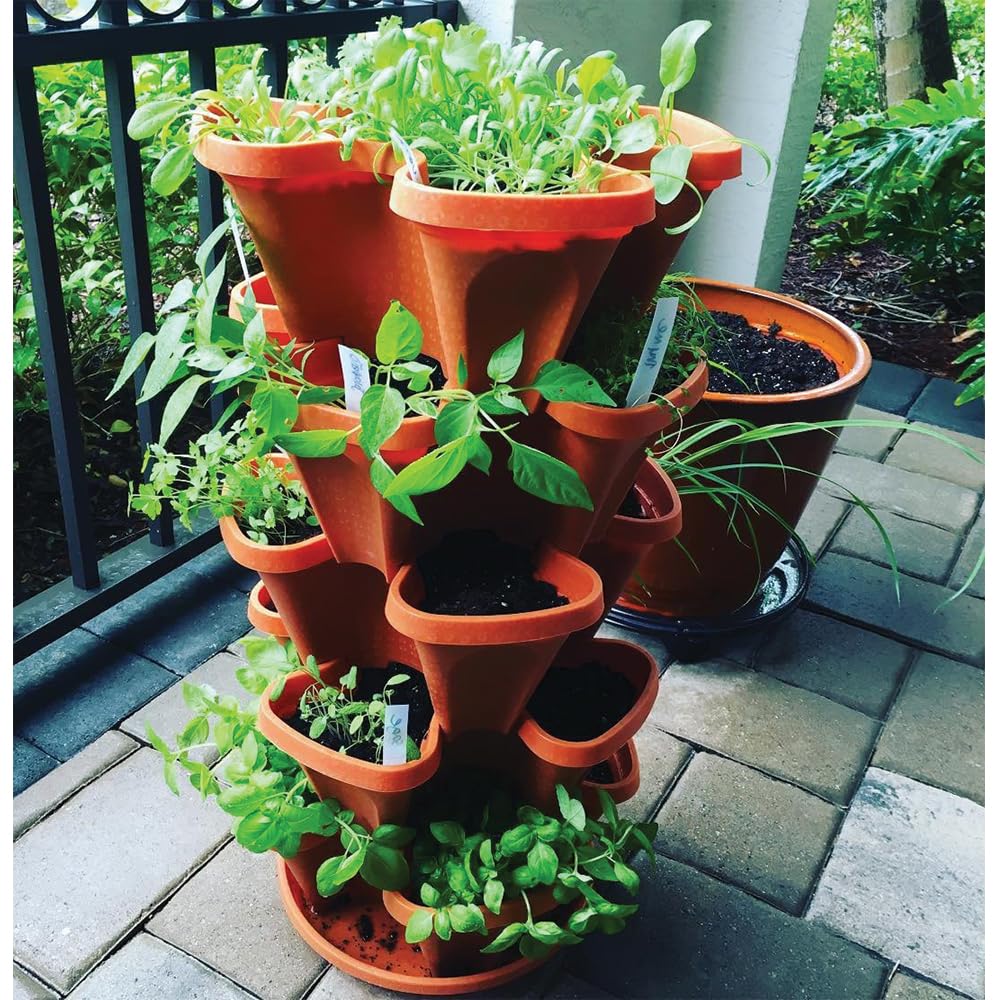 smart spring lifestyle kitchen window display showing indoor herb convenience