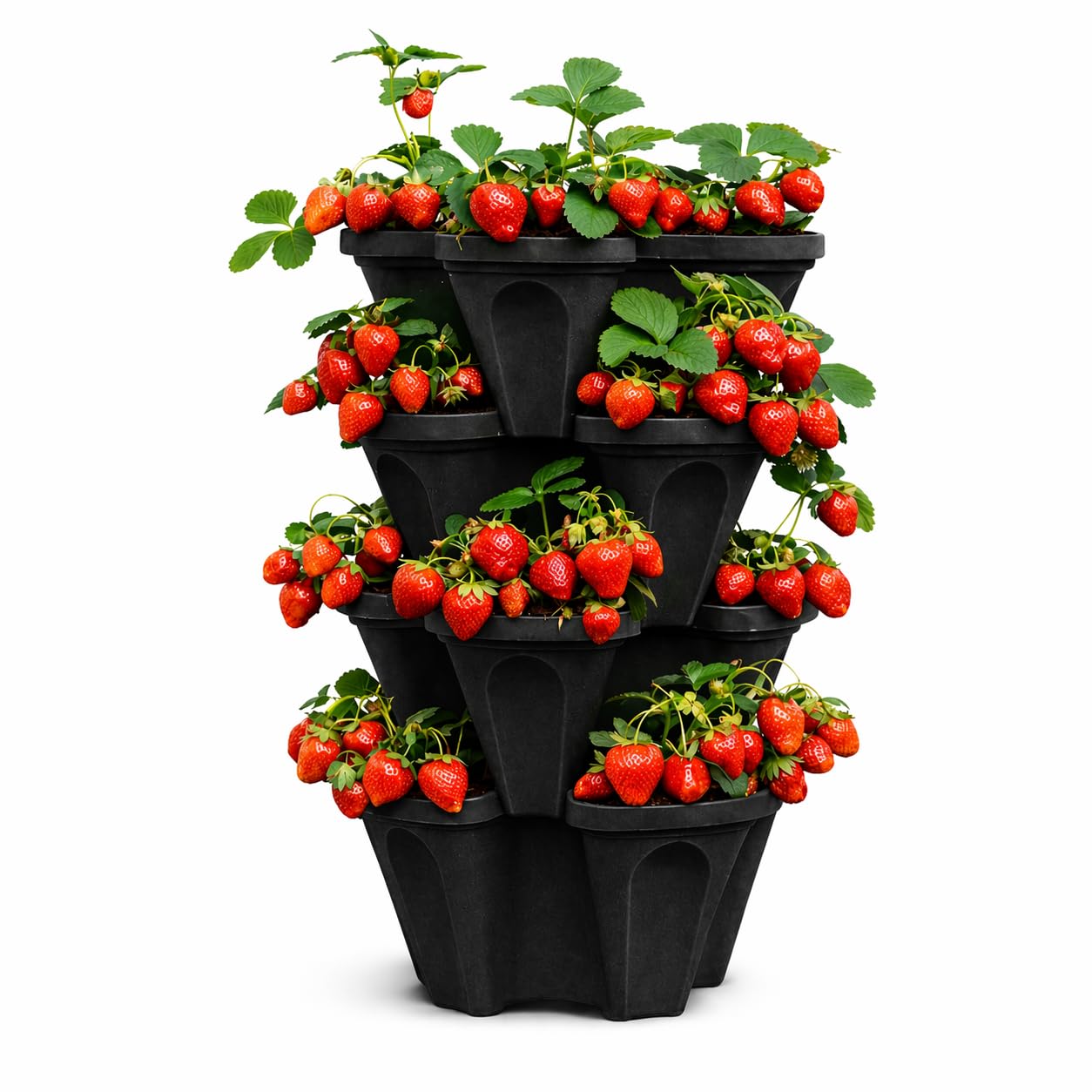 smart spring planter next to hands for scale showing small size fits compact spaces