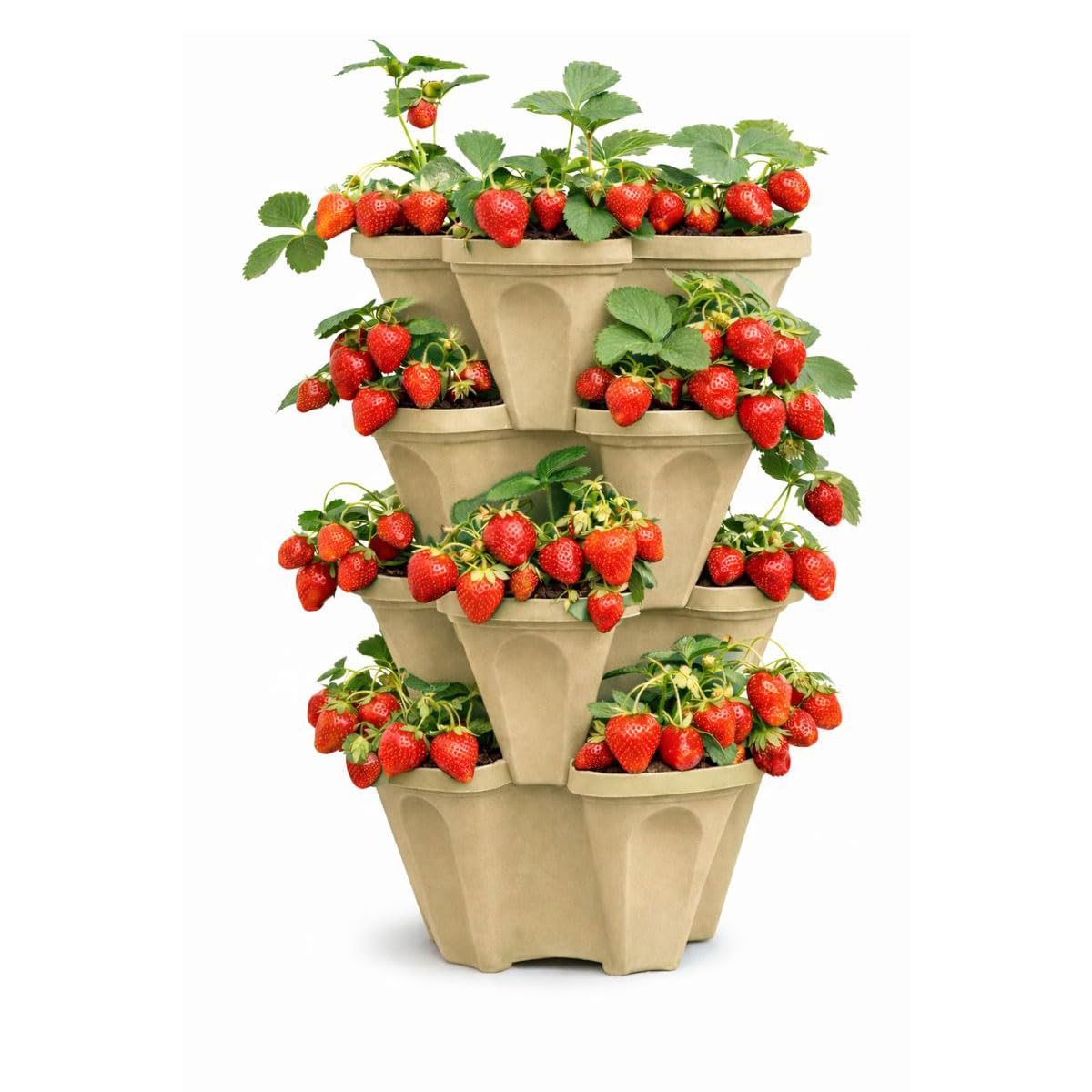 smart spring planter next to person showing scale and space-saving advantage