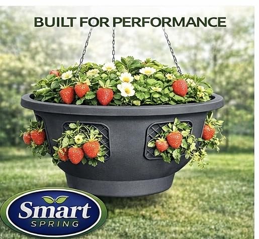 smart spring size comparison with hand showing 12-inch diameter for scale and planning benefit
