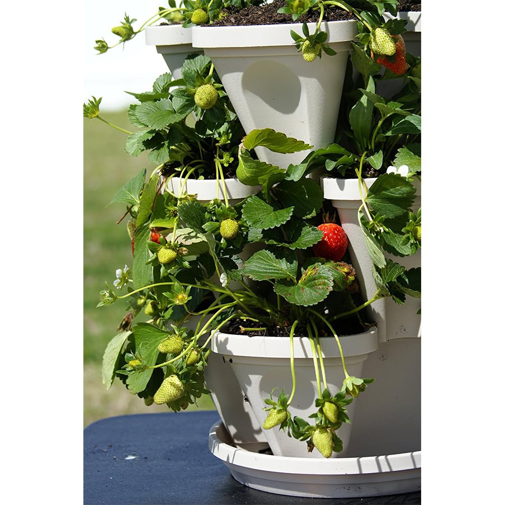 smart spring top-fill reservoir demonstrating self-watering flow and low maintenance