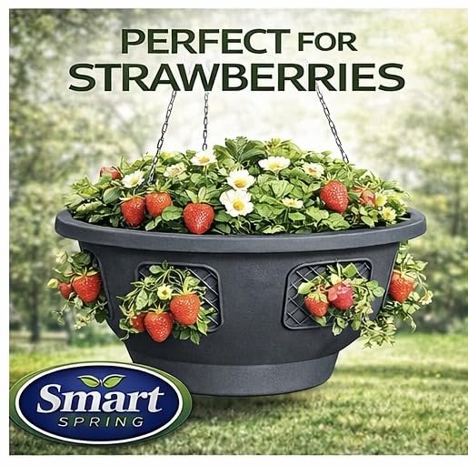 smart spring top-filled center planting with thriving tomato plant for fuller garden benefit