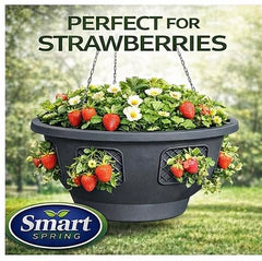 smart spring top-filled center planting with thriving tomato plant for fuller garden benefit