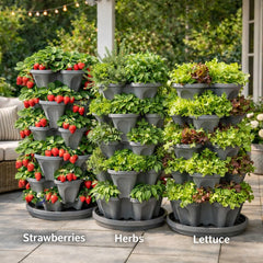 smart spring top tier seeded with herbs showing easy planting and kitchen access benefit