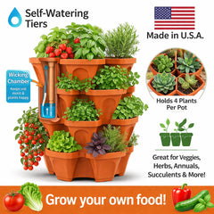 smart spring top view with water fill demonstrating self-watering ease